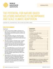 O potencial de soluções baseadas na natureza